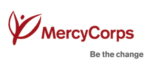 County inclusion and accountability manager
