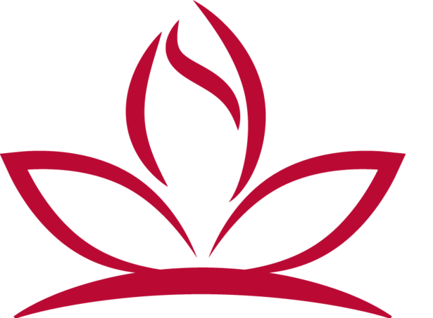 MHPSS Officer (Technical & Program Lead)
